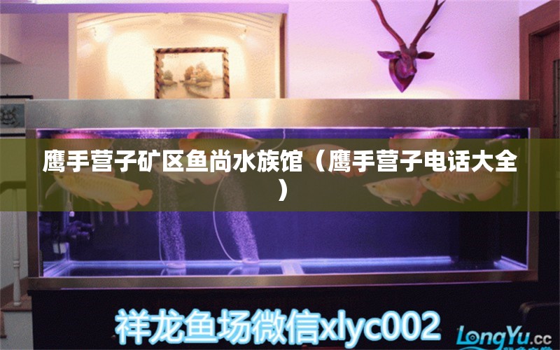 鷹手營(yíng)子礦區(qū)魚尚水族館（鷹手營(yíng)子電話大全）