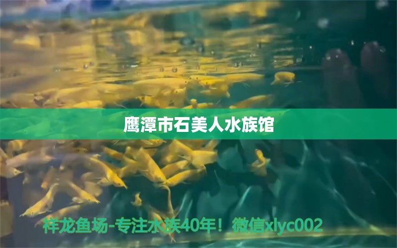 鷹潭市石美人水族館