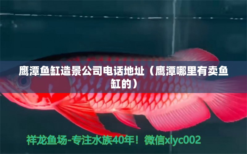 鷹潭魚缸造景公司電話地址（鷹潭哪里有賣魚缸的） 廣州觀賞魚批發(fā)市場