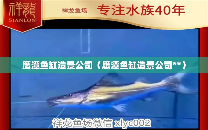 鷹潭魚缸造景公司（鷹潭魚缸造景公司**）