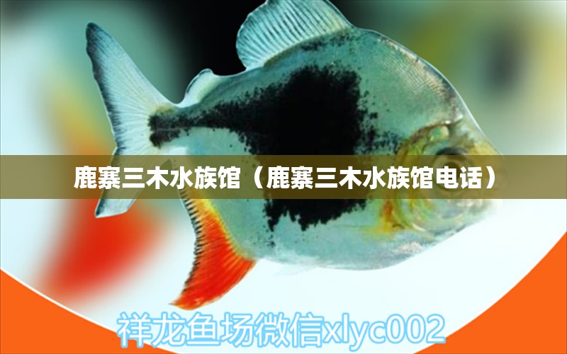 鹿寨三木水族館（鹿寨三木水族館電話）