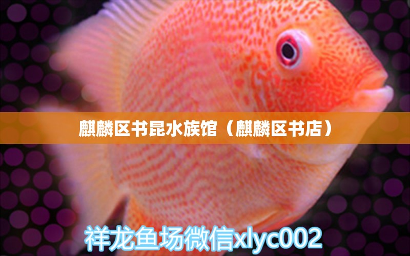 麒麟區(qū)書昆水族館（麒麟區(qū)書店） 全國水族館企業(yè)名錄