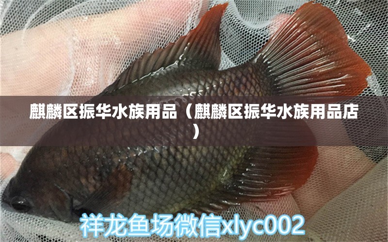 麒麟?yún)^(qū)振華水族用品（麒麟?yún)^(qū)振華水族用品店） 水族用品