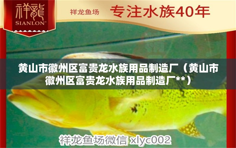 黃山市徽州區(qū)富貴龍水族用品制造廠（黃山市徽州區(qū)富貴龍水族用品制造廠**） 水族用品