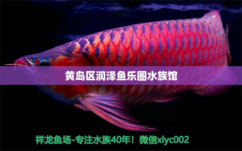 黃島區(qū)潤(rùn)澤魚樂圈水族館 全國(guó)水族館企業(yè)名錄