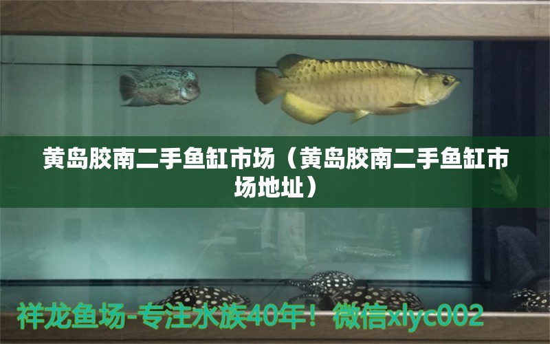 黃島膠南二手魚缸市場(chǎng)（黃島膠南二手魚缸市場(chǎng)地址）