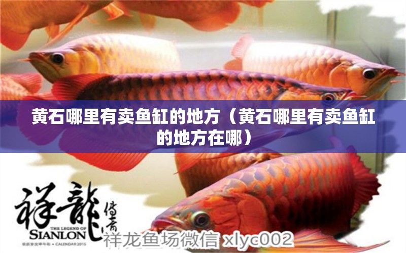 黃石哪里有賣魚缸的地方（黃石哪里有賣魚缸的地方在哪） 其他品牌魚缸