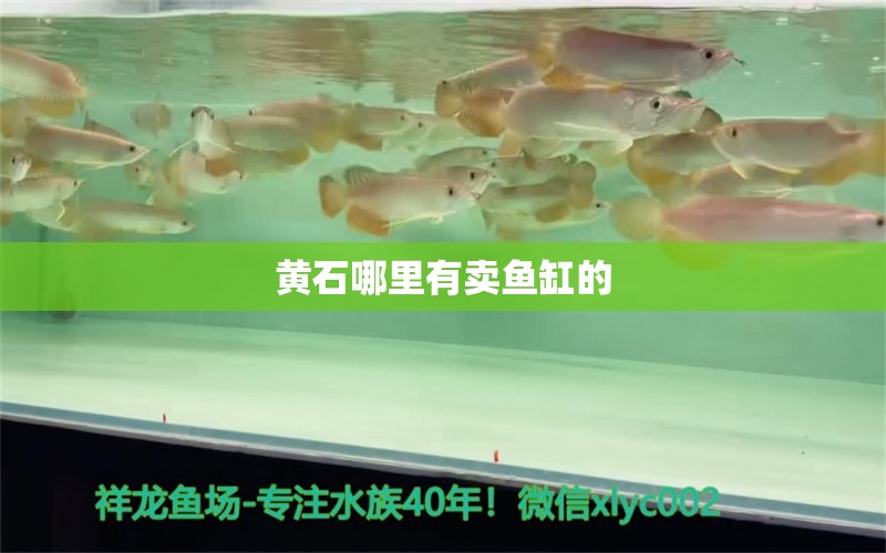 黃石哪里有賣魚缸的