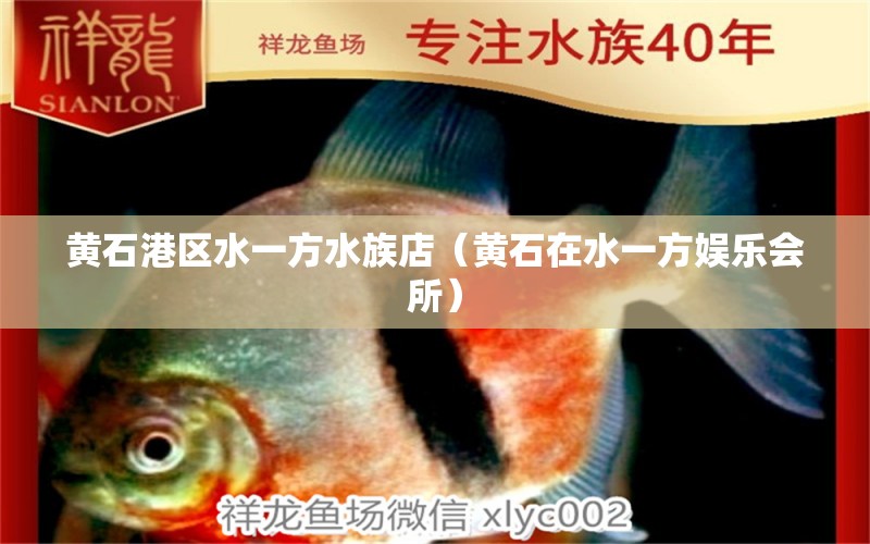 黃石港區(qū)水一方水族店（黃石在水一方娛樂會(huì)所）