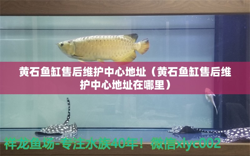 黃石魚缸售后維護中心地址（黃石魚缸售后維護中心地址在哪里）