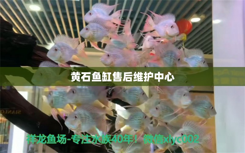 黃石魚缸售后維護中心 其他品牌魚缸