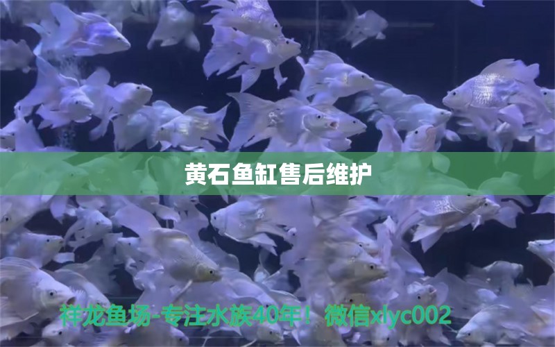 黃石魚缸售后維護(hù)