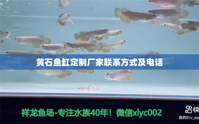 黃石魚缸定制廠家聯(lián)系方式及電話