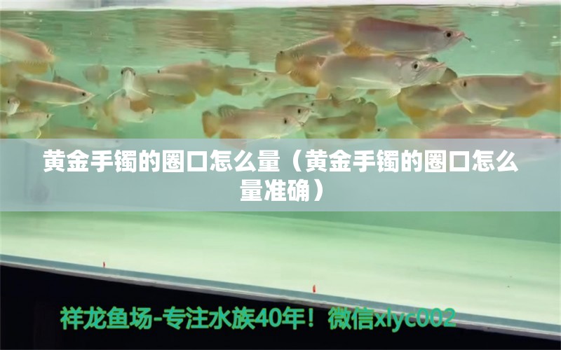 黃金手鐲的圈口怎么量（黃金手鐲的圈口怎么量準(zhǔn)確）