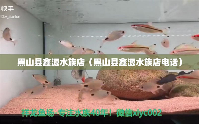 黑山縣鑫源水族店（黑山縣鑫源水族店電話）