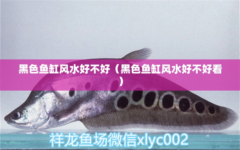 黑色魚缸風(fēng)水好不好（黑色魚缸風(fēng)水好不好看） 魚缸風(fēng)水