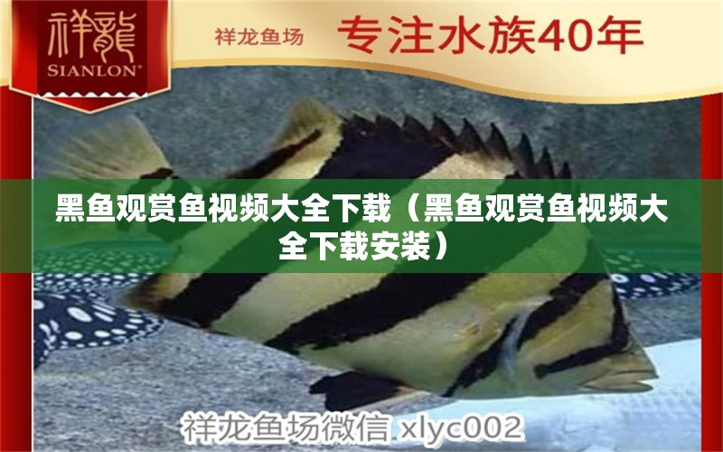 黑魚(yú)觀賞魚(yú)視頻大全下載（黑魚(yú)觀賞魚(yú)視頻大全下載安裝）