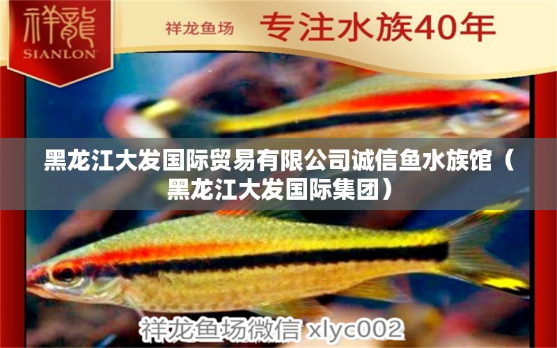 黑龍江大發(fā)國際貿(mào)易有限公司誠信魚水族館（黑龍江大發(fā)國際集團(tuán)） 全國水族館企業(yè)名錄