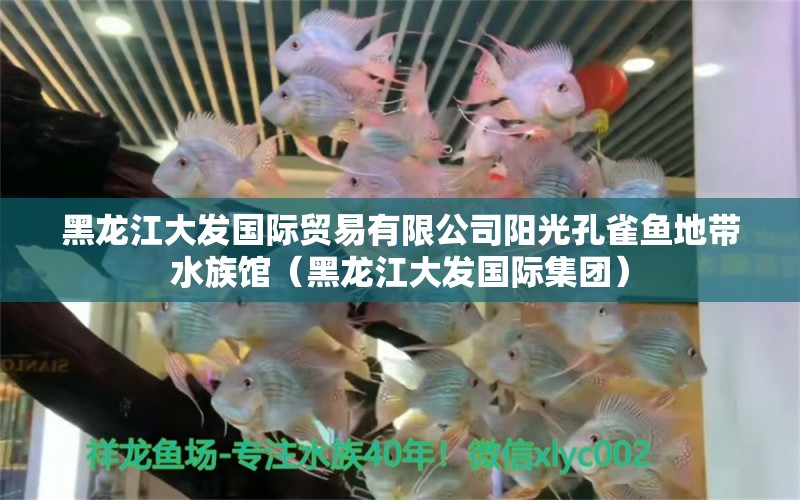 黑龍江大發(fā)國(guó)際貿(mào)易有限公司陽(yáng)光孔雀魚地帶水族館（黑龍江大發(fā)國(guó)際集團(tuán)） 全國(guó)水族館企業(yè)名錄