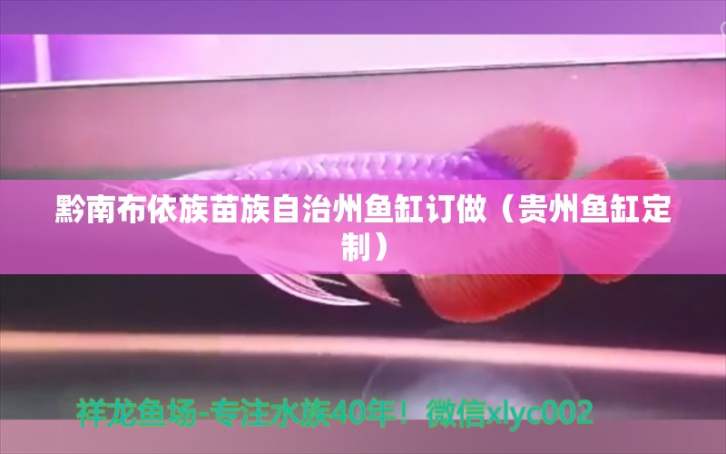 黔南布依族苗族自治州魚缸訂做（貴州魚缸定制）