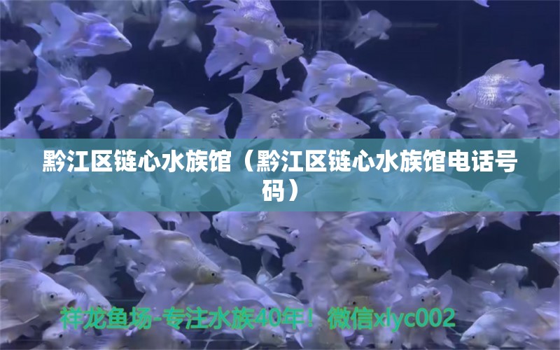 黔江區(qū)鏈心水族館（黔江區(qū)鏈心水族館電話號碼）