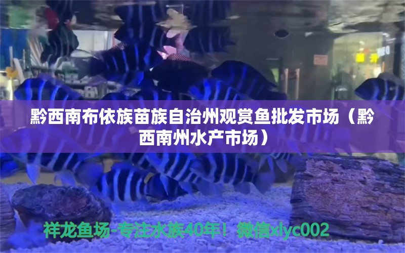 黔西南布依族苗族自治州觀賞魚批發(fā)市場（黔西南州水產(chǎn)市場）