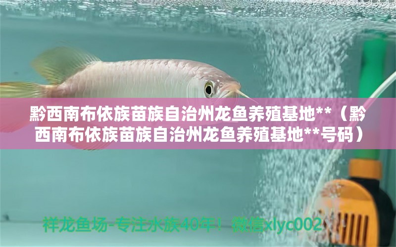 黔西南布依族苗族自治州龍魚養(yǎng)殖基地**（黔西南布依族苗族自治州龍魚養(yǎng)殖基地**號碼）