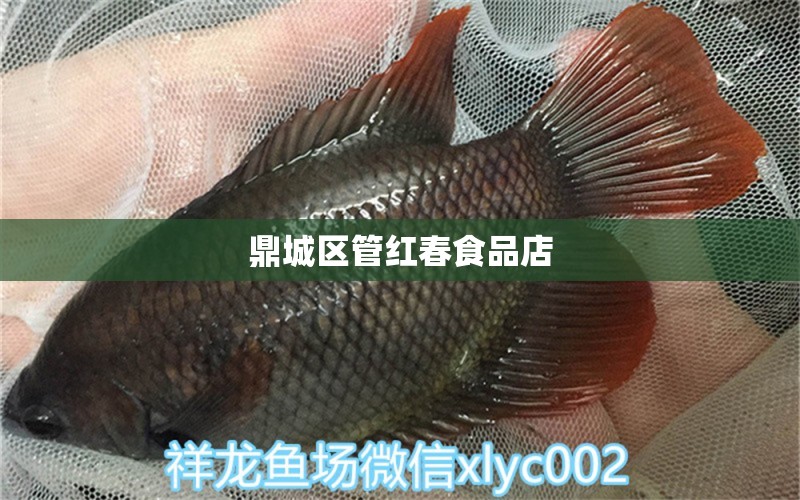 鼎城區(qū)管紅春食品店 全國水族館企業(yè)名錄