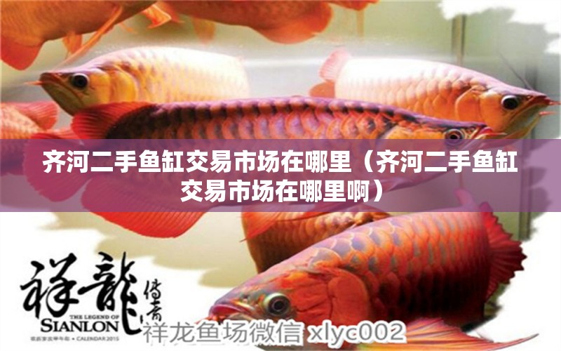 齊河二手魚缸交易市場(chǎng)在哪里（齊河二手魚缸交易市場(chǎng)在哪里?。?祥龍水族醫(yī)院