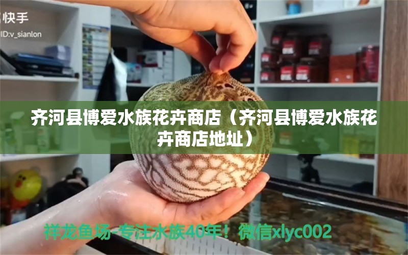 齊河縣博愛水族花卉商店（齊河縣博愛水族花卉商店地址） 全國水族館企業(yè)名錄