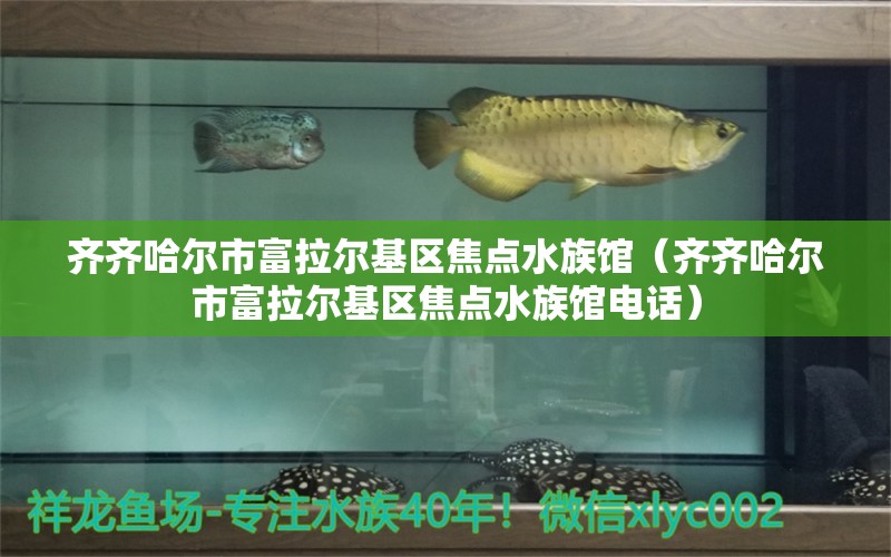 齊齊哈爾市富拉爾基區(qū)焦點(diǎn)水族館（齊齊哈爾市富拉爾基區(qū)焦點(diǎn)水族館電話） 全國水族館企業(yè)名錄