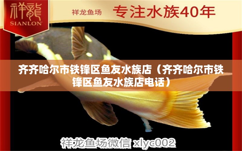 齊齊哈爾市鐵鋒區(qū)魚友水族店（齊齊哈爾市鐵鋒區(qū)魚友水族店電話） 全國水族館企業(yè)名錄