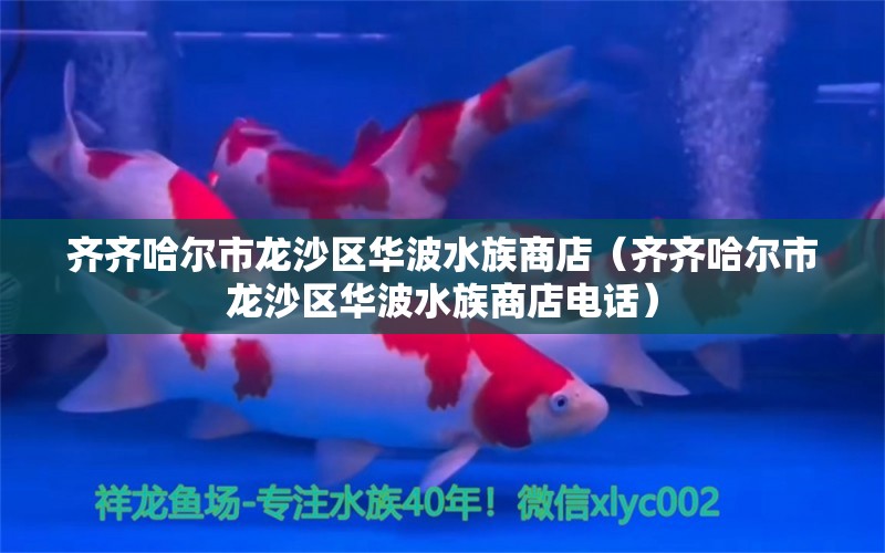 齊齊哈爾市龍沙區(qū)華波水族商店（齊齊哈爾市龍沙區(qū)華波水族商店電話）