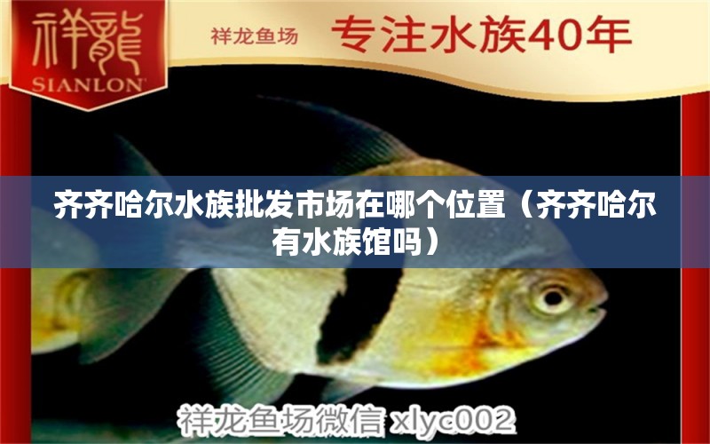 齊齊哈爾水族批發(fā)市場在哪個位置（齊齊哈爾有水族館嗎）