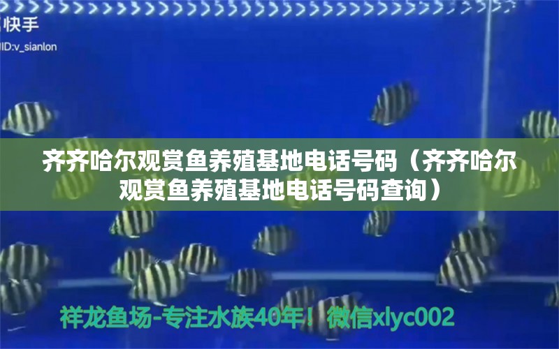 齊齊哈爾觀賞魚養(yǎng)殖基地電話號碼（齊齊哈爾觀賞魚養(yǎng)殖基地電話號碼查詢） 祥龍魚場