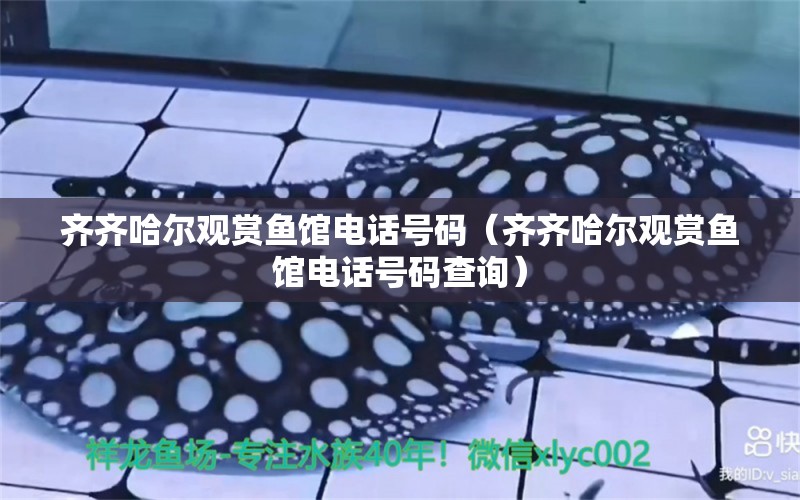 齊齊哈爾觀賞魚館電話號碼（齊齊哈爾觀賞魚館電話號碼查詢）