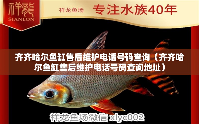 齊齊哈爾魚缸售后維護(hù)電話號(hào)碼查詢（齊齊哈爾魚缸售后維護(hù)電話號(hào)碼查詢地址） 其他品牌魚缸