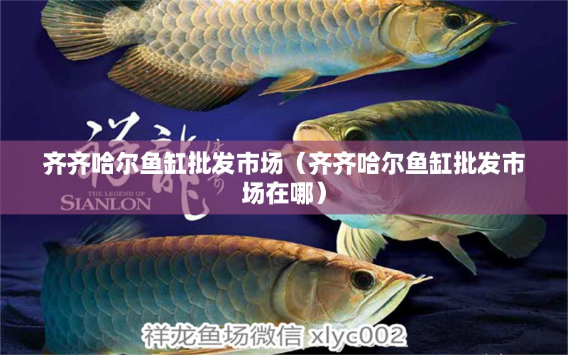 齊齊哈爾魚缸批發(fā)市場（齊齊哈爾魚缸批發(fā)市場在哪）