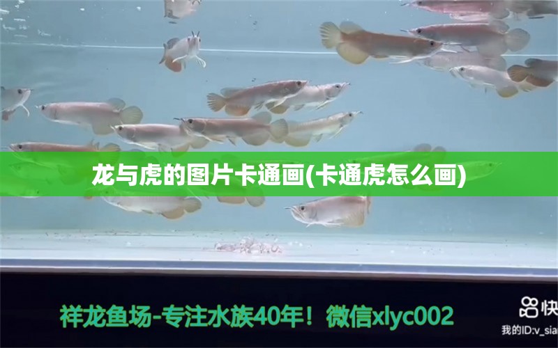 龍與虎的圖片卡通畫(卡通虎怎么畫) 帝王迷宮魚