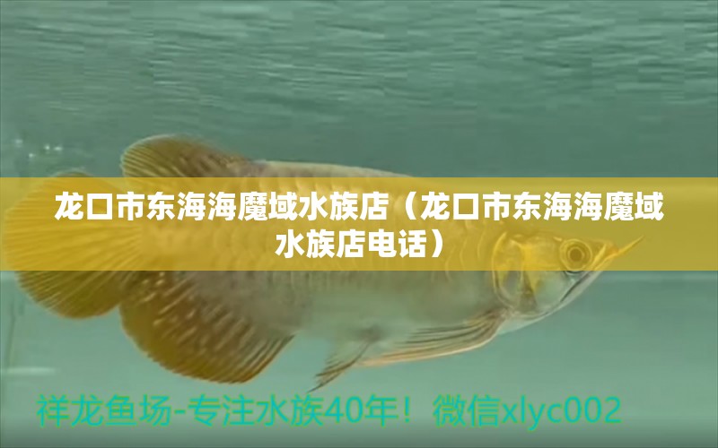 龍口市東海海魔域水族店（龍口市東海海魔域水族店電話） 全國水族館企業(yè)名錄