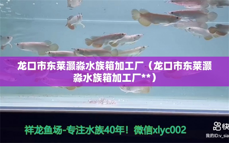 龍口市東萊灝淼水族箱加工廠（龍口市東萊灝淼水族箱加工廠**） 魚缸/水族箱