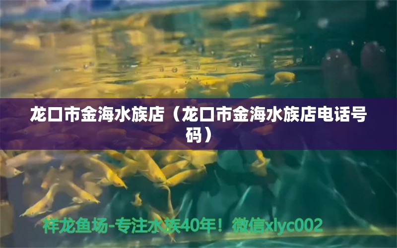 龍口市金海水族店（龍口市金海水族店電話號碼） 全國水族館企業(yè)名錄