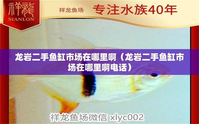 龍巖二手魚缸市場在哪里?。垘r二手魚缸市場在哪里啊電話） 廣州觀賞魚批發(fā)市場