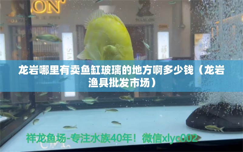 龍巖哪里有賣魚缸玻璃的地方啊多少錢（龍巖漁具批發(fā)市場）