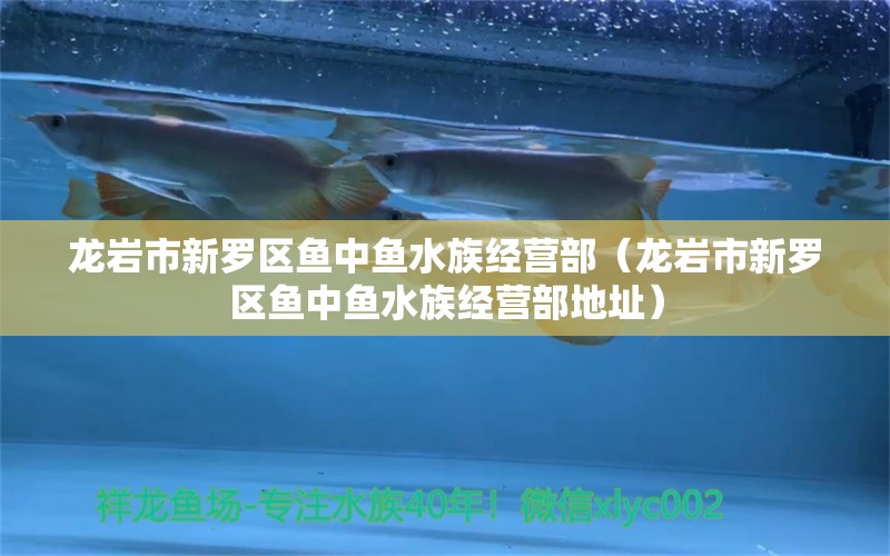 龍巖市新羅區(qū)魚(yú)中魚(yú)水族經(jīng)營(yíng)部（龍巖市新羅區(qū)魚(yú)中魚(yú)水族經(jīng)營(yíng)部地址）