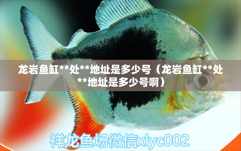 龍巖魚缸**處**地址是多少號（龍巖魚缸**處**地址是多少號?。?祥龍水族醫(yī)院