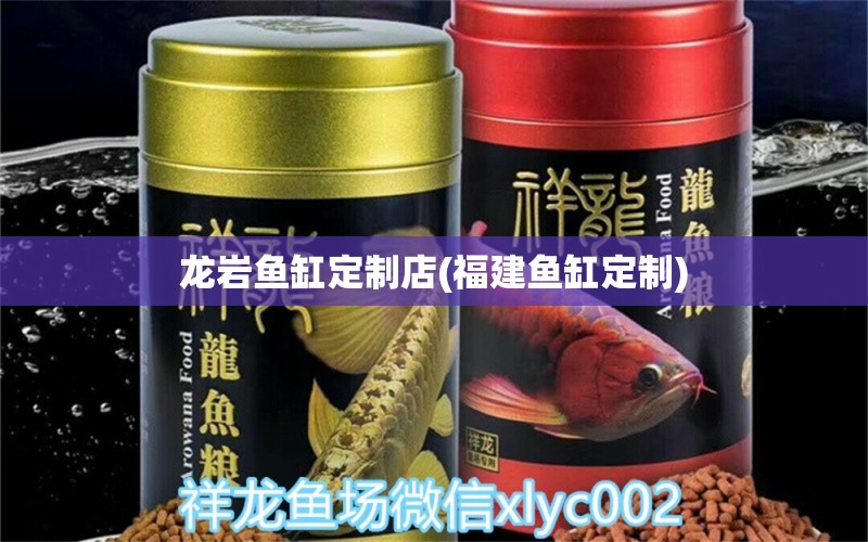 龍巖魚缸定制店(福建魚缸定制) 申古銀版魚