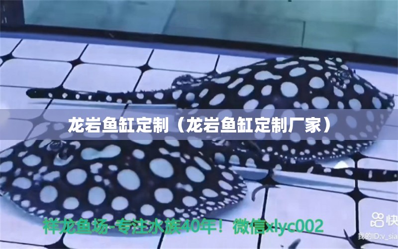 龍巖魚缸定制（龍巖魚缸定制廠家）