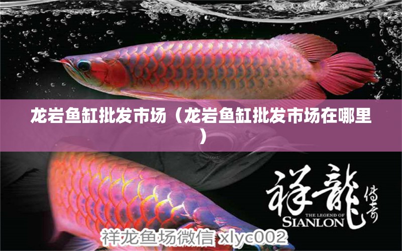 龍巖魚缸批發(fā)市場（龍巖魚缸批發(fā)市場在哪里）