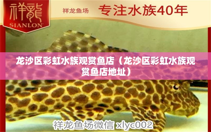 龍沙區(qū)彩虹水族觀賞魚店（龍沙區(qū)彩虹水族觀賞魚店地址） 全國水族館企業(yè)名錄